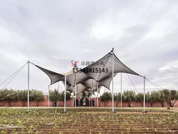 煙臺膜結構景觀施工【生產(chǎn)廠家】